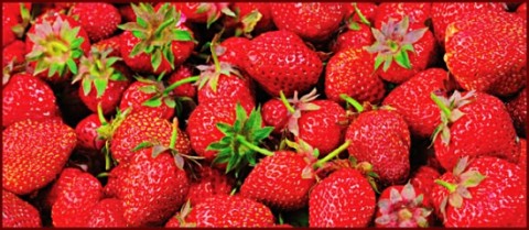 600-strawberries-1549206196