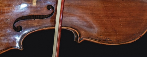 violin