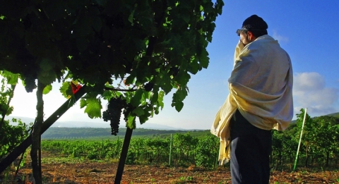 Prayin_20251123-142124_1